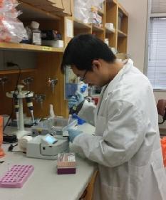 Hai Yan lab