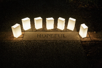 Luminaries.png