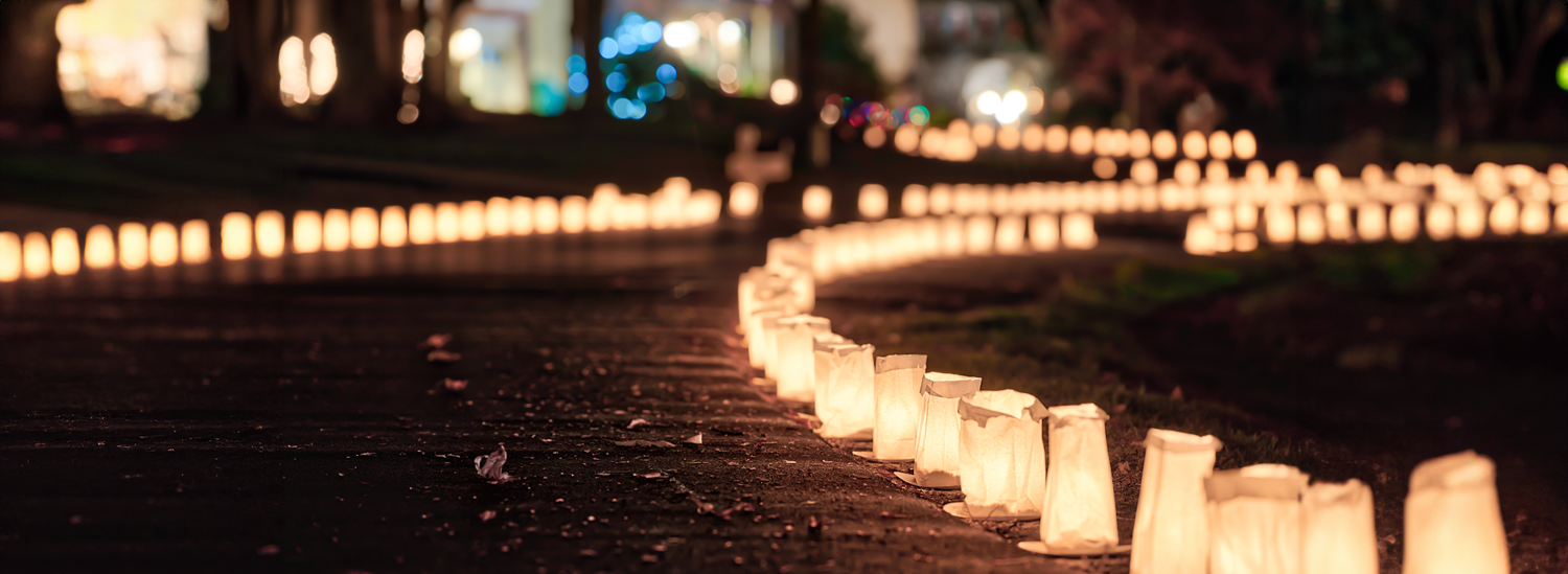 Remembrance-2024-Banner.png