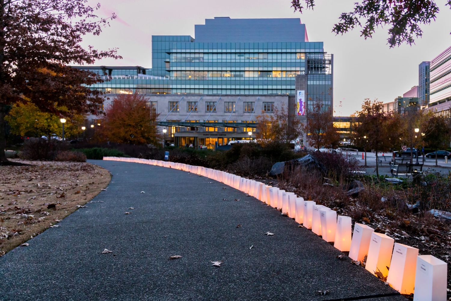 Tree of Hope Luminaries Duke Cancer Center