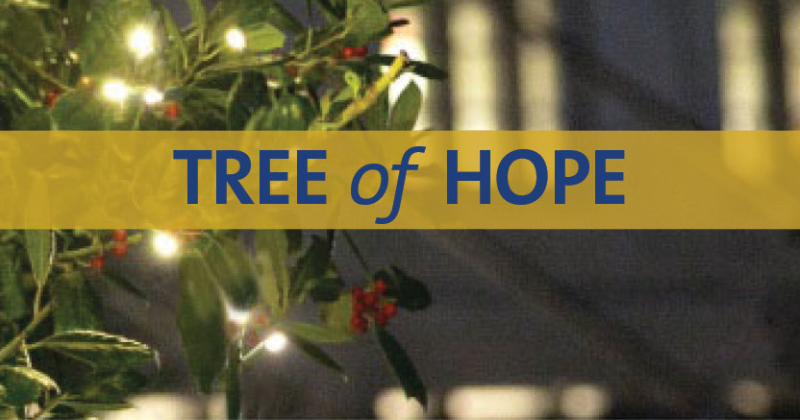 Tree of Hope 2025