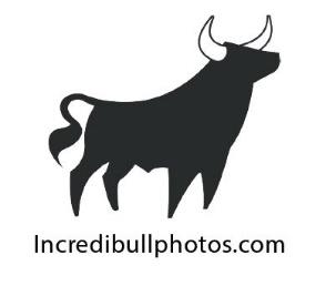 Incredibull logo