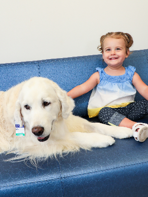 Lily with Izzy, Duke pet therapy dog
