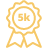 TeamRaiser Achievement Badge